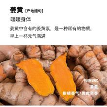 ZEEBEYROY 智贝利 ZT明星同款每日咖啡地中海阿拉比卡锡兰肉桂绿燃黑咖啡袋装速溶