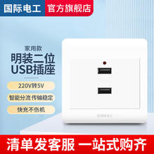 fdd 国际电工 USB插座明装二位