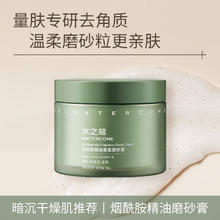 WATERCOME 水之蔻 磨砂膏 200g