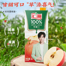 汇源 100%果汁苹果汁1000ml*1盒+桃汁1000ml*1盒两联包尝鲜装
