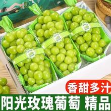 一级果 阳光玫瑰 葡萄 净重2.25斤（单果6-12g）