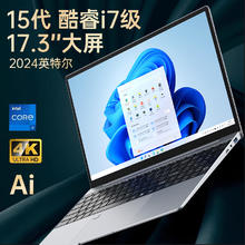 Leno 笔记本电脑高性能办公轻薄本高速处理器游戏本商务商用办公设计 17.3英寸银