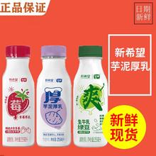 NEW HOPE 新希望 芋泥厚乳牛奶255ml*8瓶装生牛乳芋头草莓厚乳绿豆爽可选