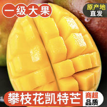 Mr.Seafood 京鲜生 特大四川攀枝花凯特芒果 净重9斤（单果400g起）
