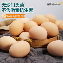 京东百亿补贴：雀淘 新鲜土鸡蛋 50枚