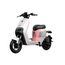九号（Ninebot）九号电动自行车新品A2z 35c LF联名款智能长续航宽胎【门店自提】 到门店选颜色