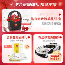 乐高（LEGO）积木 机械组系列 42173柯尼塞格灰色超跑 新品拼装玩具生日礼物