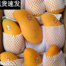 再降价、掉落券、需首购、pLus会员：甜萌果蔬金煌芒芒果 带箱 精选果王（单果350g+） 带箱5斤