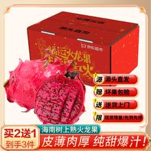 Mr.Seafood 京鲜生 海南树上熟红心火龙果 2粒单果200g起