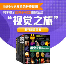 视觉之旅神奇的化学元素 疯狂趣味化学科普书籍（套装四册）(异步图书出品)