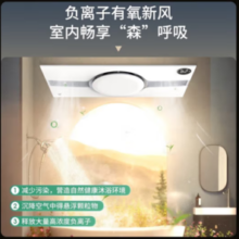 20点开始！NVC Lighting 雷士照明 双出风米家智能浴霸 送长灯