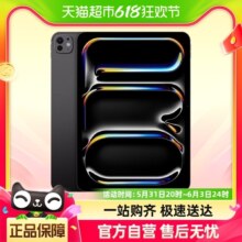 Apple/苹果 iPad Pro 11 英寸平板电脑配标准玻璃面板