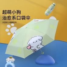 Paradise 天堂伞 萌趣小狗太阳伞防晒防紫外线遮阳雨伞女晴雨两用小巧便携五折伞女