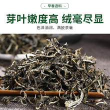 金星满天 2024年新茶老班章古树普洱茶生茶散茶勐海早春茶云南生普茶叶 买一次喝半年 1000克装2024新茶
