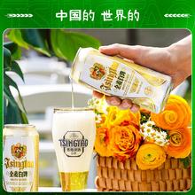 青岛啤酒全麦小麦白啤500ml*12听