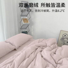 100支四件套新疆长绒棉双面加厚磨毛全棉纯棉床单2024新款高级感