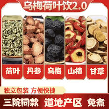 颐方集乌梅汤2.0三院同款解腻酸乌梅山楂甘草荷叶丹参独立包装酸梅汤饮