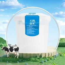 百亿补贴：TERUN 天润 全脂发酵乳酸奶方桶 2kg