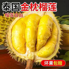 金枕榴莲2.5斤包3-4房