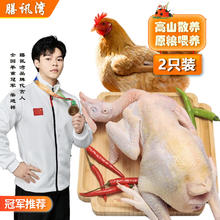 膳讯湾 500天散养老母鸡1kg*2只土鸡 走地鸡月子鸡营养滋补食材 源头直发