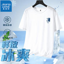 京东PLUS：JEANSWEST 真维斯 男士网眼冰丝速干T恤 GW-42
