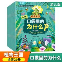 拍3口袋里的为什么？绘本科普百科60册