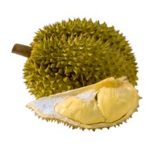 NONGFU SPRING 农夫山泉 东方树叶 茉莉花茶900ml*12瓶