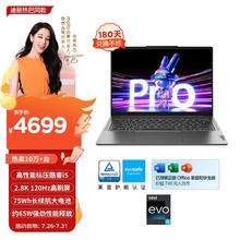 Lenovo 联想 笔记本电脑小新Pro14超能本 高性能标压英特尔酷睿i5 14英寸轻薄本 16G 1T 2.8K