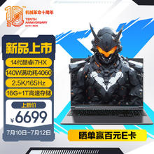机械革命 极光 X 16英寸 14代酷睿i7HX 游戏本笔记本电脑(i7-14650HX 16G 1T RTX4060 2.5K屏 165Hz)
