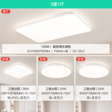 20日10点：NVC Lighting 雷士照明 光鸿-银系列 120W遥控吸顶灯 三室一厅