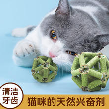 珍佑宠 猫玩具猫薄荷球木天蓼磨牙棒猫零食洁齿自嗨玲珑球