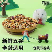 yee 意牌 仓鼠粮全价五谷金丝熊粮食主粮仓鼠营养食物 全价五谷粮 500g