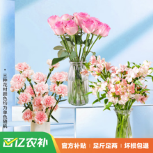 花点时间 康乃馨10枝+玫瑰10枝+六出10枝