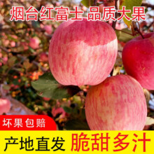 百亿补贴：马小二果园【脆甜】正宗山东烟台栖霞红富士带箱10斤大果 单果180g+
