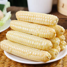 乐食悦时 云南拇指玉米 1斤装（8-12根）