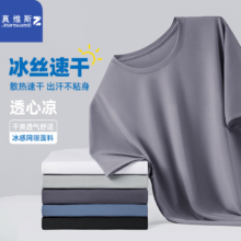 真维斯（JEANSWEST Z+）冰丝短袖t恤 *2件
