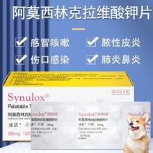 REVOLUTION 大宠爱 临期24.10.1速诺消炎片美国进口猫狗阿莫西林猫咪消炎药