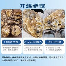 乳山牡蛎 鲜活乳山生蚝（带官方溯源防伪标识、死蚝包赔）5XL净重5kg（另有2.5kg的可选）