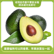 BAXY 八喜 牛奶冰淇淋 巧克力味 1.1kg