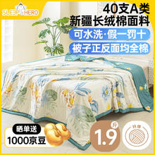 SleepHero 睡眠英雄 40支A类可水洗纯棉100% 夏季空调被 2斤150*200cm