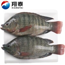 14日0点，限量1500件：翔泰 冷冻三去罗非鱼/海南鲷 700g 2条