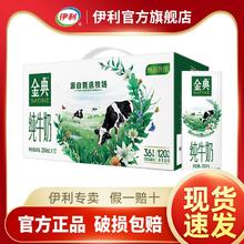 yili 伊利 金典纯牛奶250ml*12盒*2箱牛奶整箱早餐奶