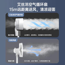 派劳迪 电风扇2024新款静音家用空气循环扇落地扇制冷小空调扇节能台立式