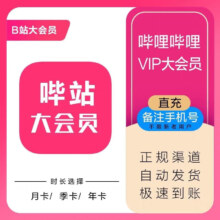 哔哩哔哩大会员年卡