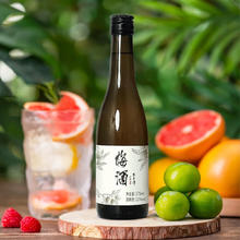 不老潭 12度梅酒低度女士酒自饮酸甜微醺果酒青梅酒瓶装375ml