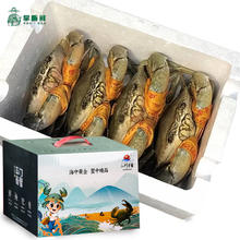 掌昕鲜 三门青蟹 公母对蟹（5-6两/只）4只 生鲜活螃蟹海鲜水产盒非梭子蟹