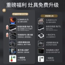 华帝（VATTI）官方嵌入式家用燃气灶炉具 5.2KW/5.0kW大火力灶可调节开孔尺寸 台嵌两用灶 i10075B 天然气 可拆卸炉头