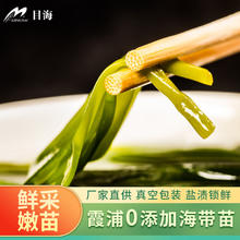 Muhai 目海 福建霞浦 头水鲜嫩海带苗 500g*3包