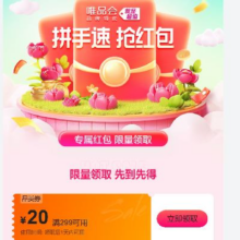 即享好券：唯品会 满299-20元品类券