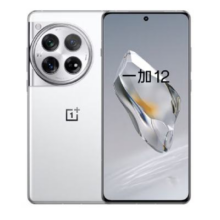 京东百亿补贴、PLUS会员：一加 12 新品5G手机 留白 24+1T